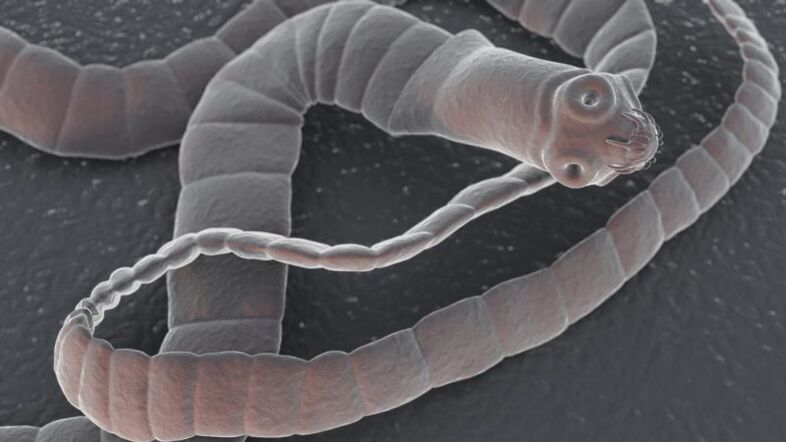 Parasiten im Körper