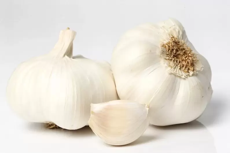 Knoblauch gegen Parasiten