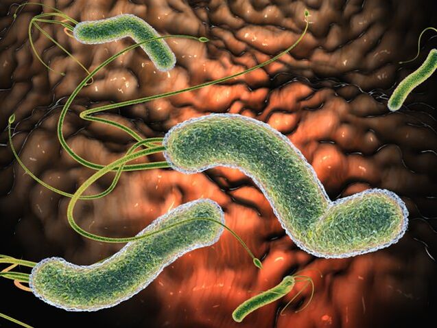 Schädliche Parasiten im menschlichen Körper